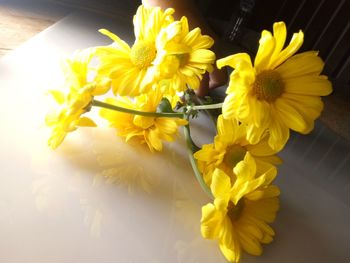 Close-up of yellow daffodil