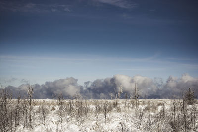 Scenic view of field against sky during winter