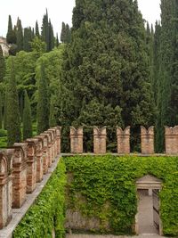 Plants growing in temple against sky