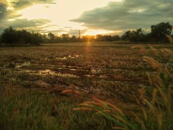 Scenic view of field against sky at sunset