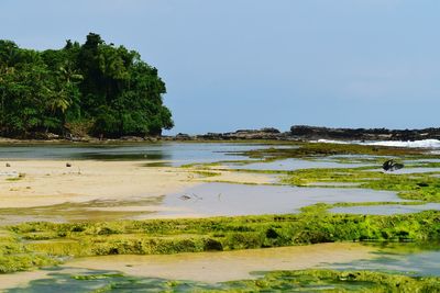 Scenic view of beach against sky