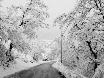 Snowy mountain road with trees covered of snow