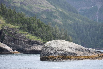 Scenic view of sea by mountain