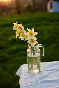 Close-up of flowers in glass on field