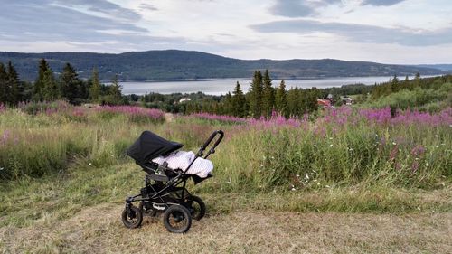 Baby stroller on grassy field against lake and sky