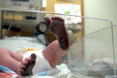 Close-up of person holding hands