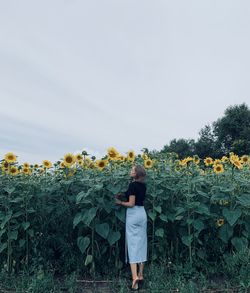 Rear view of woman standing on sunflower field against sky