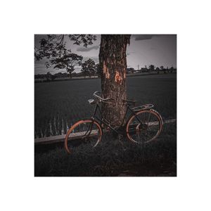 Close-up of bicycle on tree trunk against sky