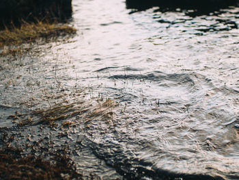 Close-up of water