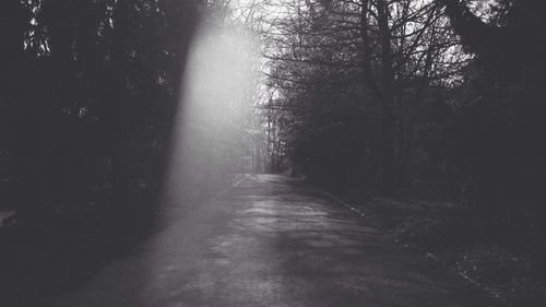 Road passing through forest