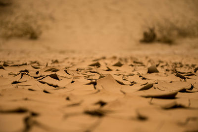 Full frame shot of sand