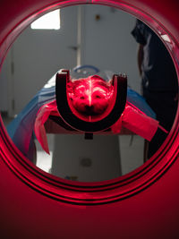 Little dog lying on table ear mri equipment while being scanned in modern veterinary clinic by anonymous veterinarian