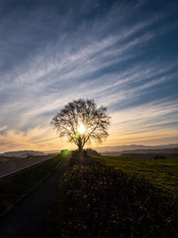Scenic view of field against sky during sunset