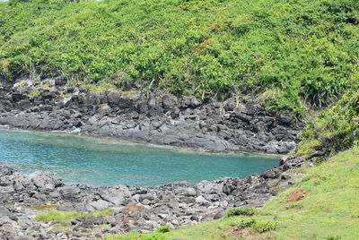 Scenic view of river