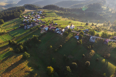 High angle view of agricultural field and houses