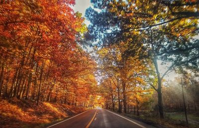 Road amidst trees during autumn