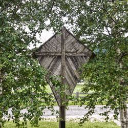 Low angle view of trees against built structure