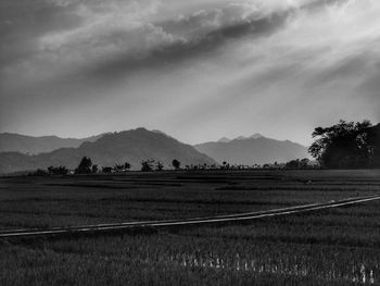 Scenic view of field against sky