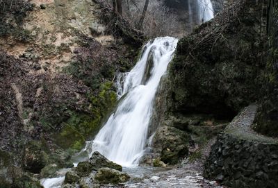 Scenic view of waterfall in forest