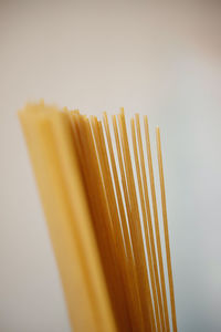 Close-up of spaghetti against white background