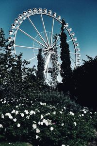 Low angle view of ferris wheel