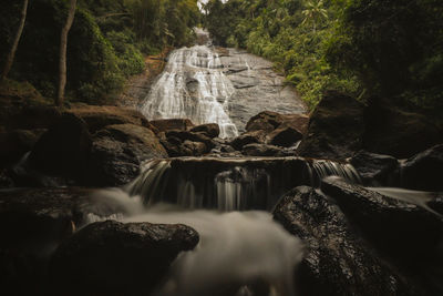 View of waterfall in forest