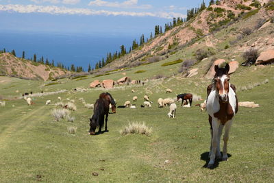 Kyrgyz mountainscape. near bokonbayevo. issyk kul province. kyrgyzstan