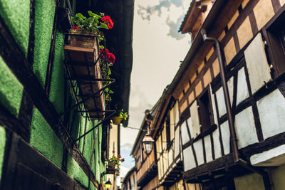 Low angle view of potted plants on building