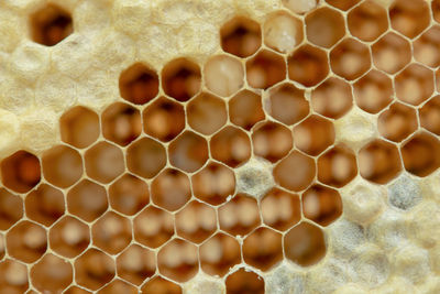 Full frame shot of patterned wall