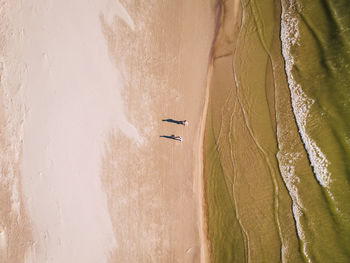 Two people walking on the beach from above. person shadow with silhouette, sand and baltic sea waves