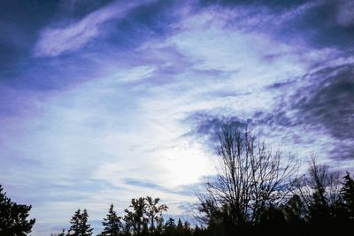 Low angle view of silhouette trees against dramatic sky