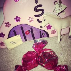 Close-up of pink flowers