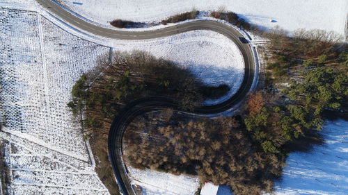 High angle view of tree by road