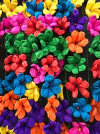 Close-up high angle view of multi colored flowers