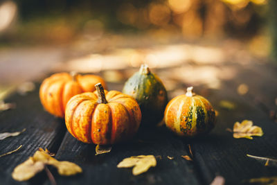 Close-up of pumpkins on table