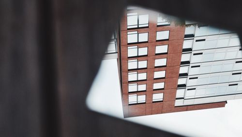 Close-up of window