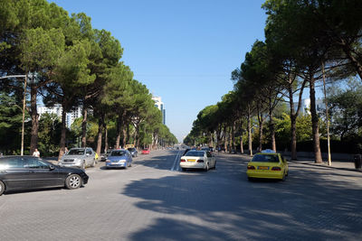 Cars on road by trees against sky