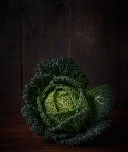 Close-up of green leaf on table