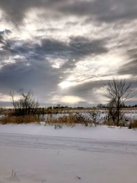 Bare trees on snow covered landscape against sky