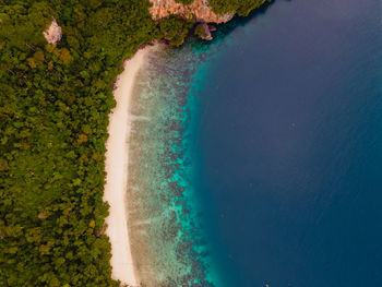 High angle view of trees on land