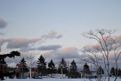 Silhouette of trees against cloudy sky