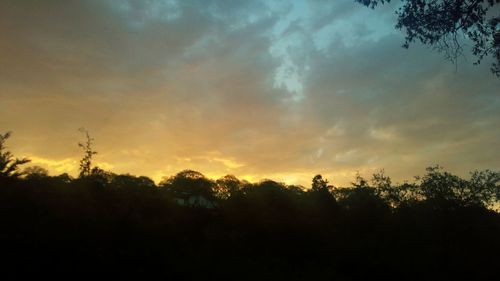 Silhouette trees against sky at sunset