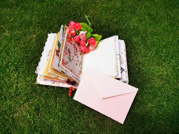 High angle view of various flowers on field