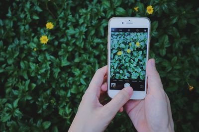 Close-up of hand holding mobile phone