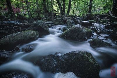 waterfall