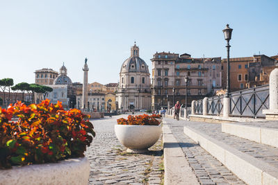 View of flowers in city