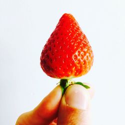 Close-up of hand holding apple over white background