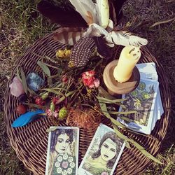 High angle view of flowering plants in basket on field