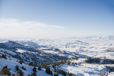 Frosty mountain day,a wintry scene. awesome mountain winter snowy landscape with trees and peaks