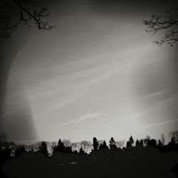 Low angle view of bare trees against sky